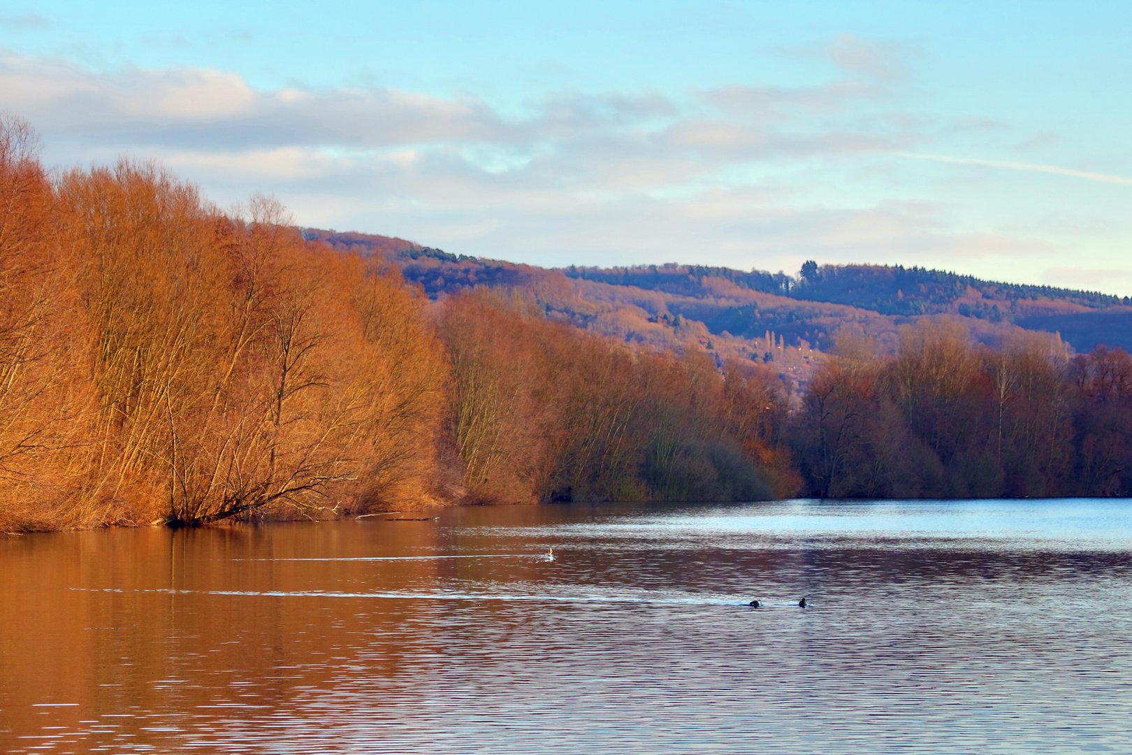 Bruchsee bei Heppenheim