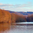 Bruchsee bei Heppenheim