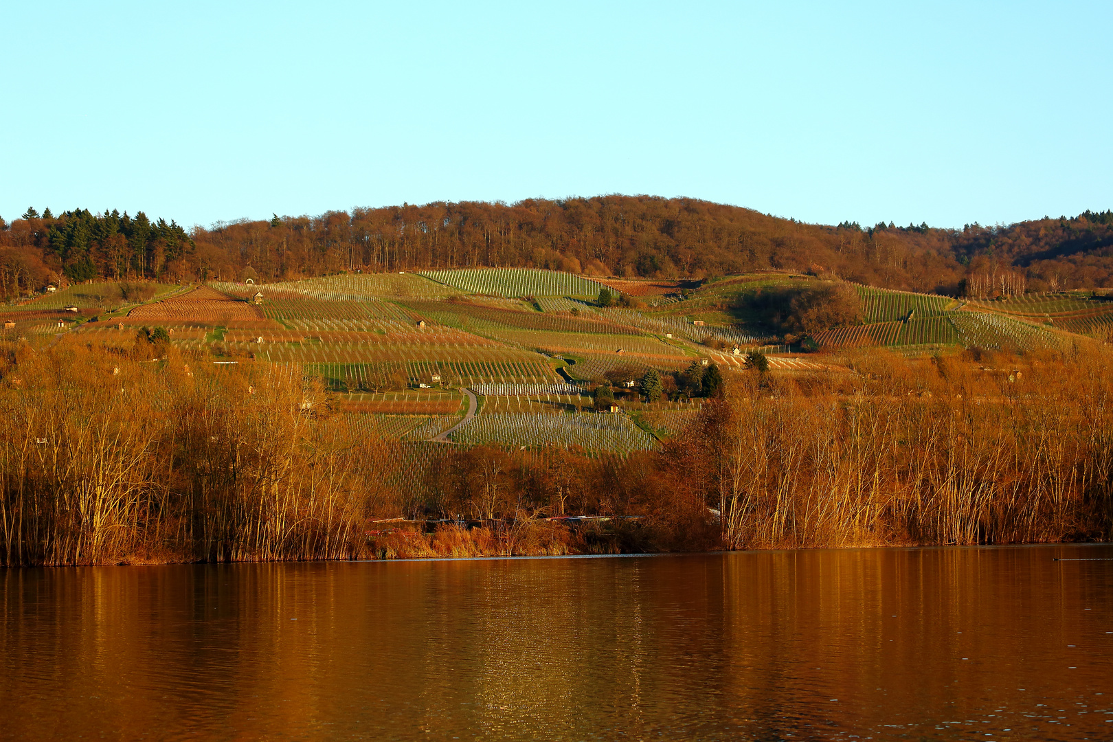 Bruchsee bei Heppenheim im Abendrot