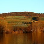 Bruchsee bei Heppenheim im Abendrot