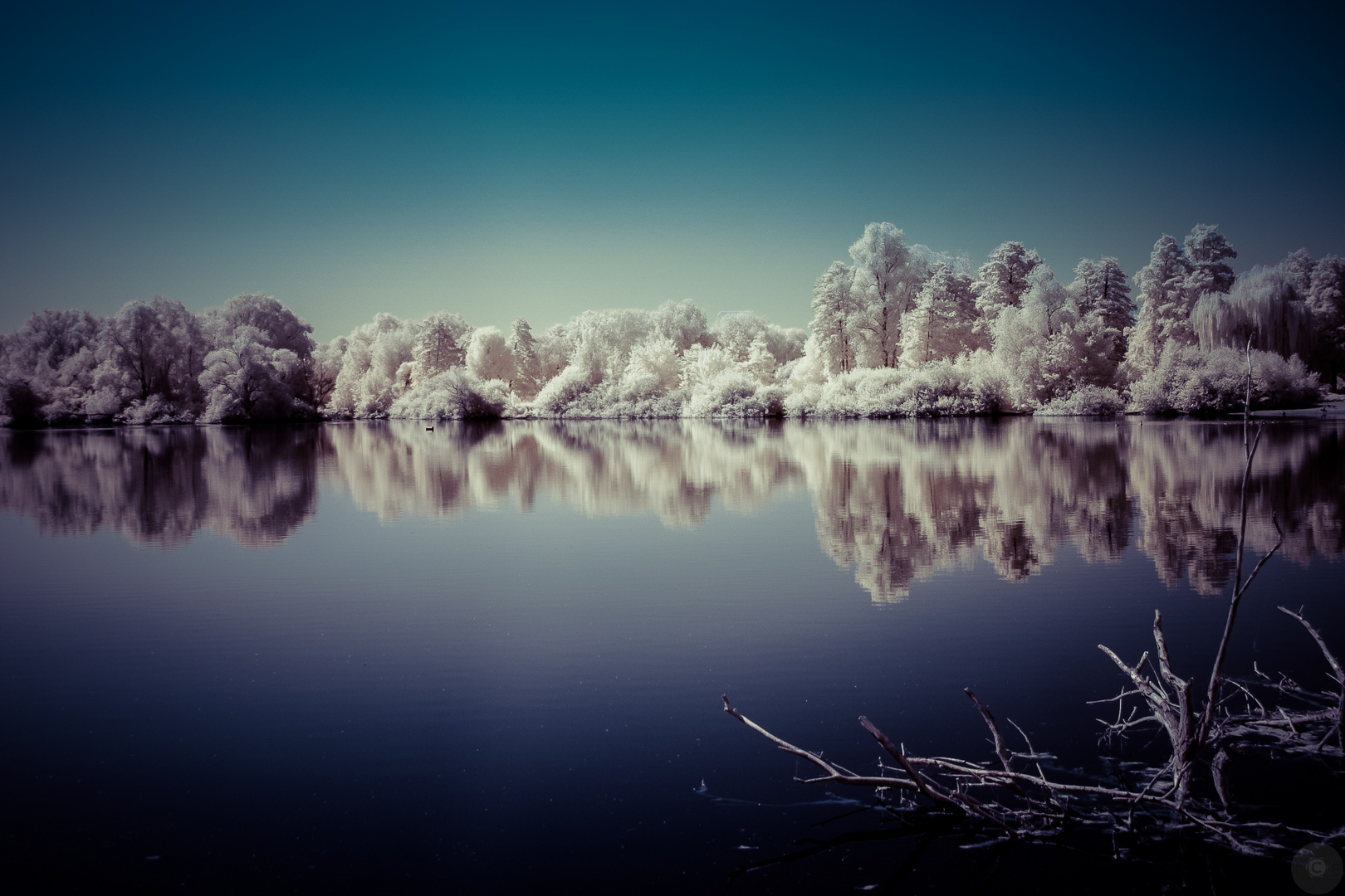 Bruchsee Color IR