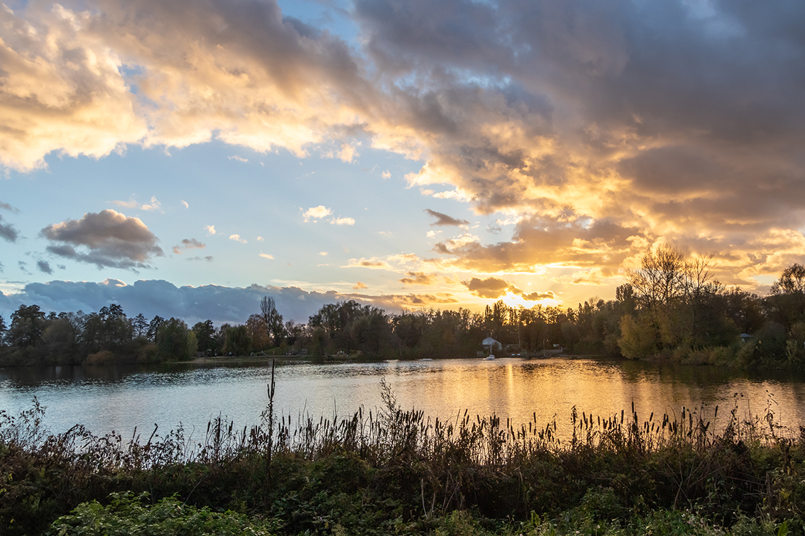 Bruchsee Heppenheim 1