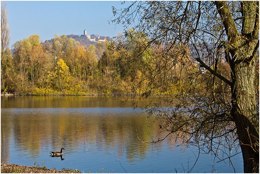 Bruchsee im Herbst