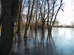 Bruchsee im Winter