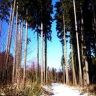 Bruchweiler im Schnee