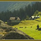 Bruder Klaus-Kapelle auf der Alp Golzern