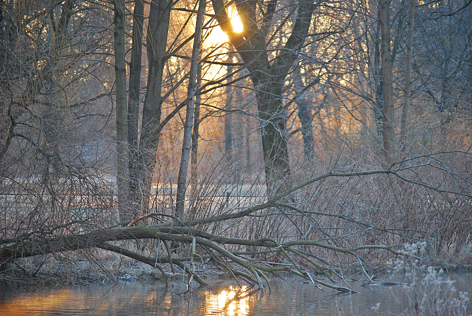 Bruder Tod...