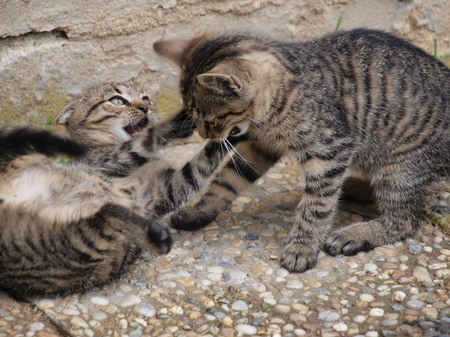 Bruder und Schwester