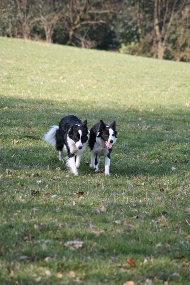 Bruder und Schwester