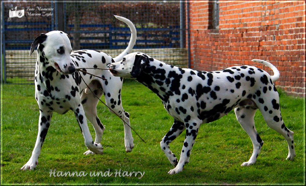 Bruder und Schwester