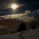 Bruderwald im Mondlicht