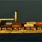 BRÜARFOSS / Container Ship / Rotterdam