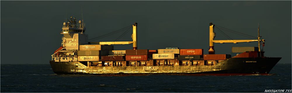 BRÜARFOSS / Container Ship / Rotterdam