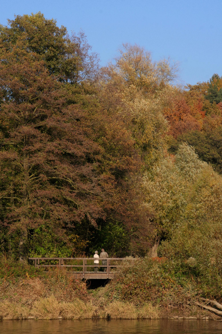 Brücke