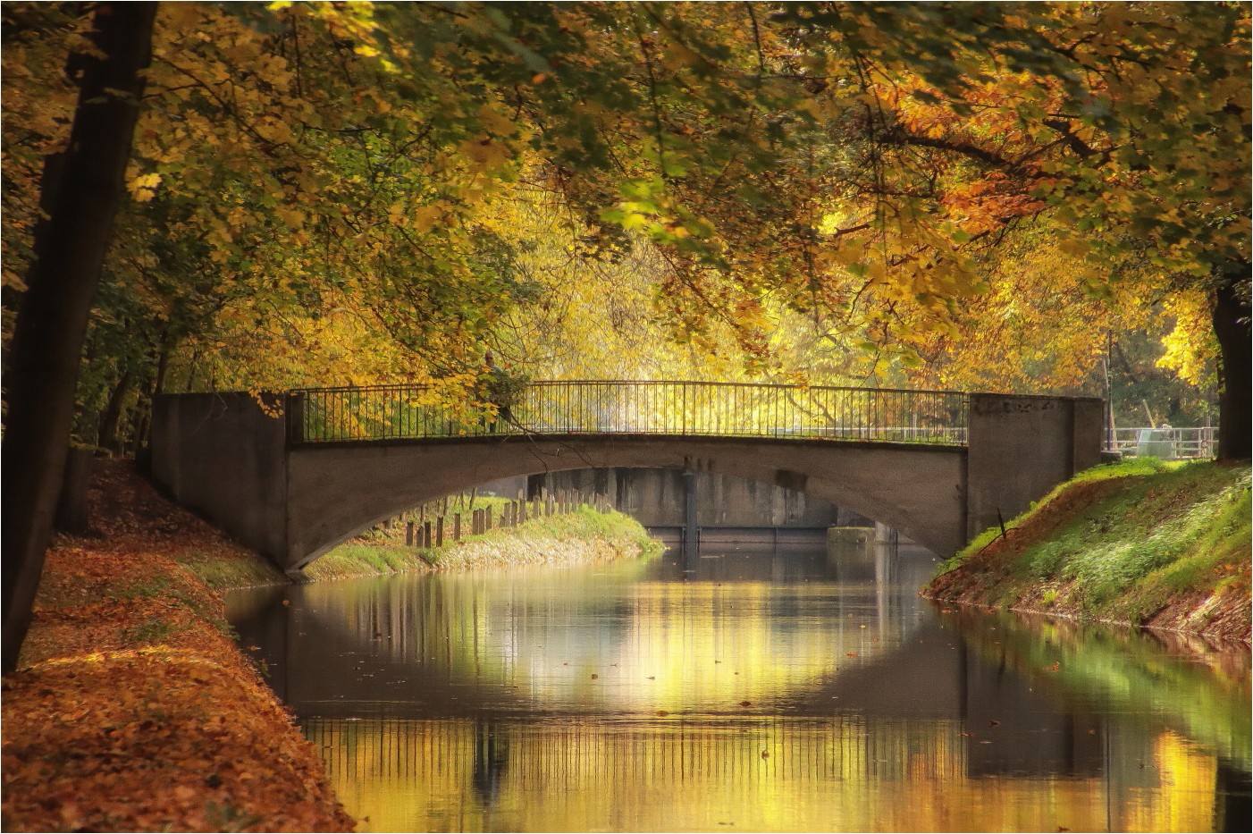 Brücke 