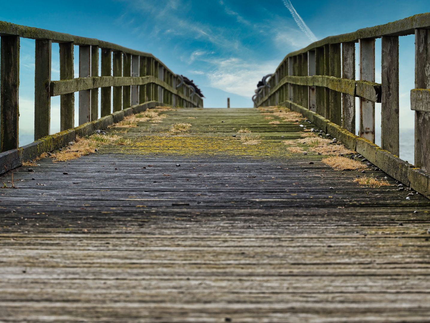 Brücke 