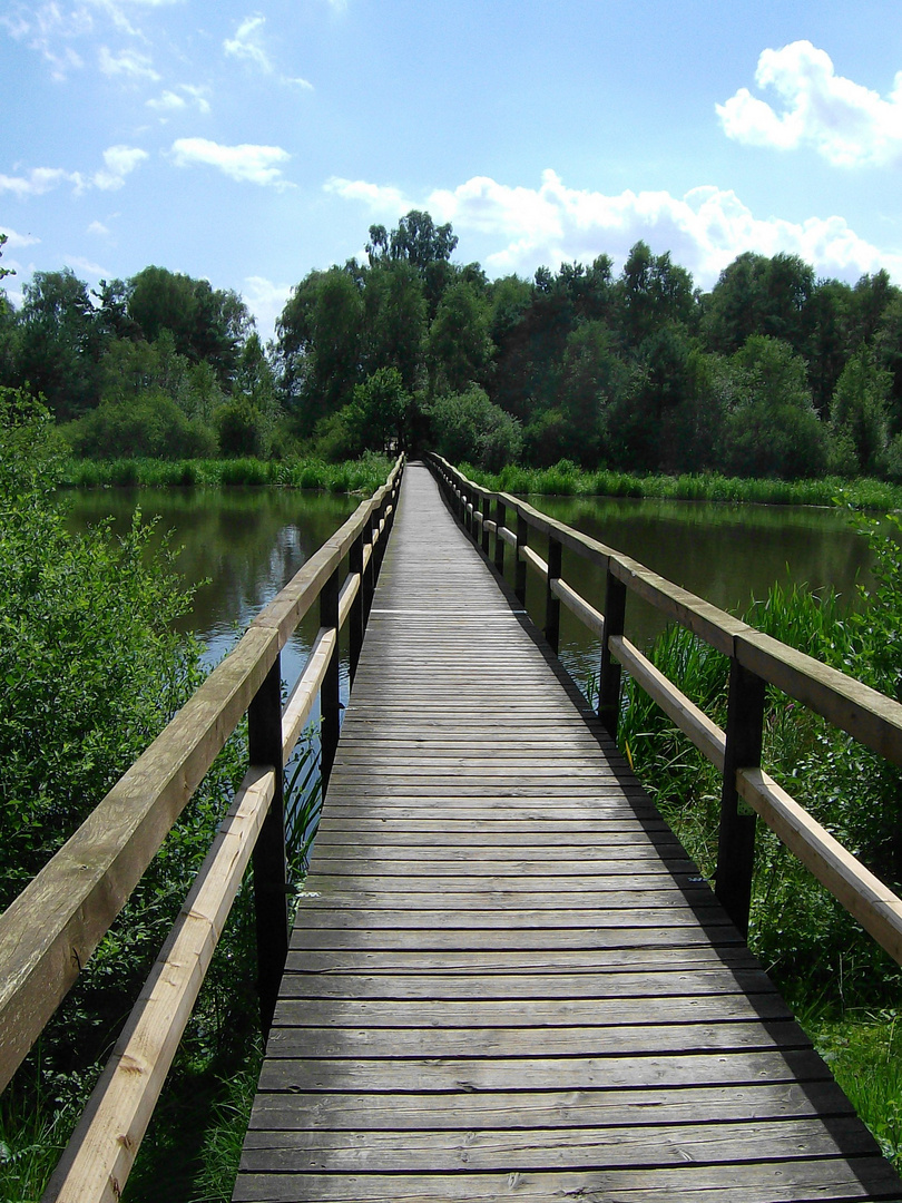 Brücke