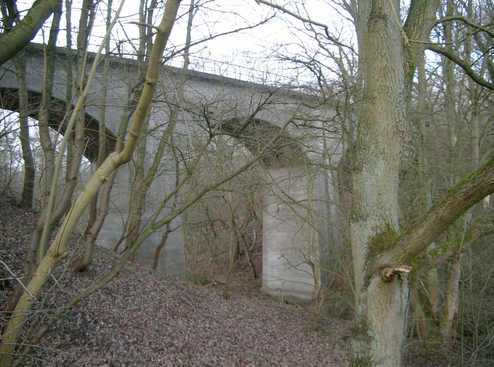 Brücke