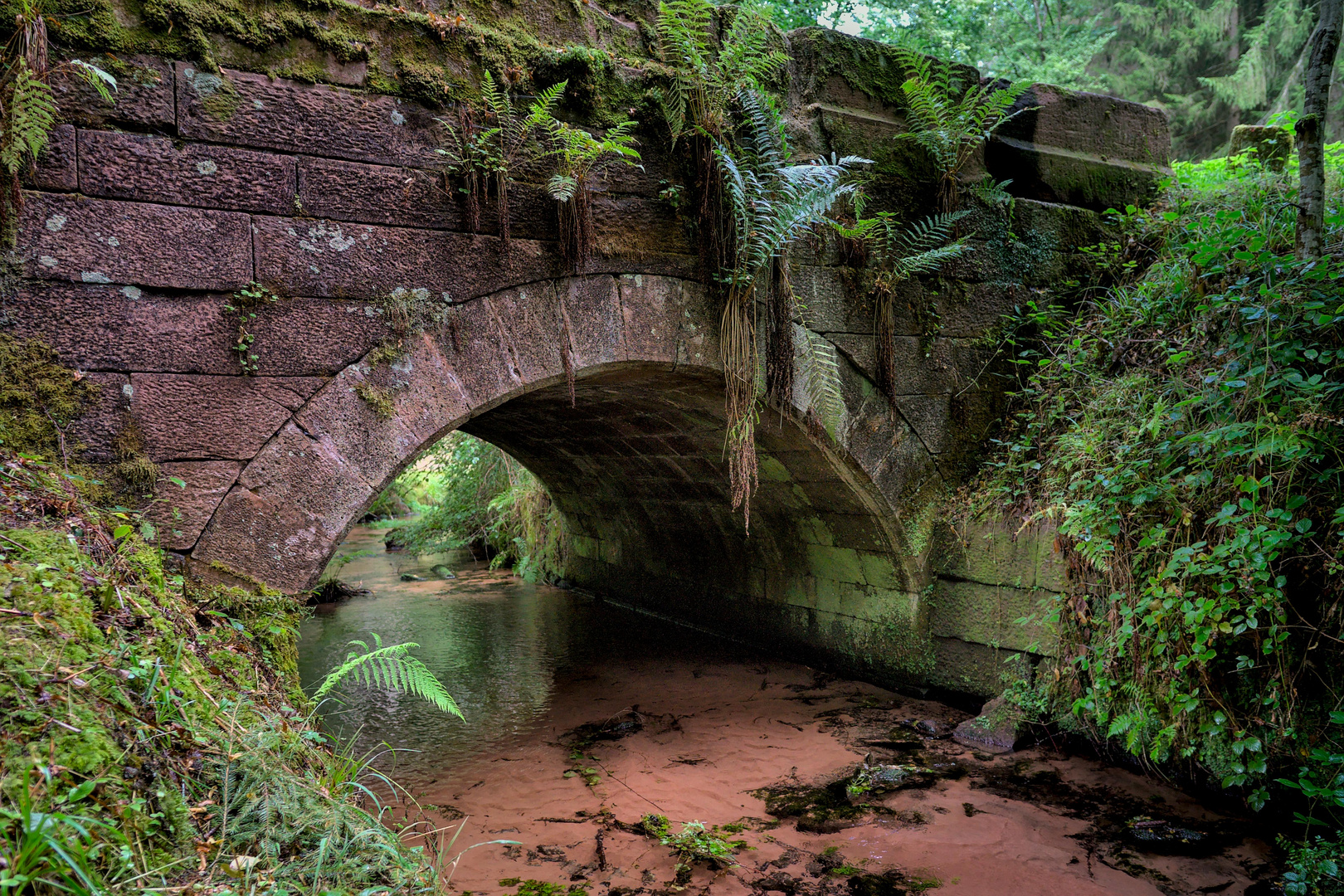 Brücke