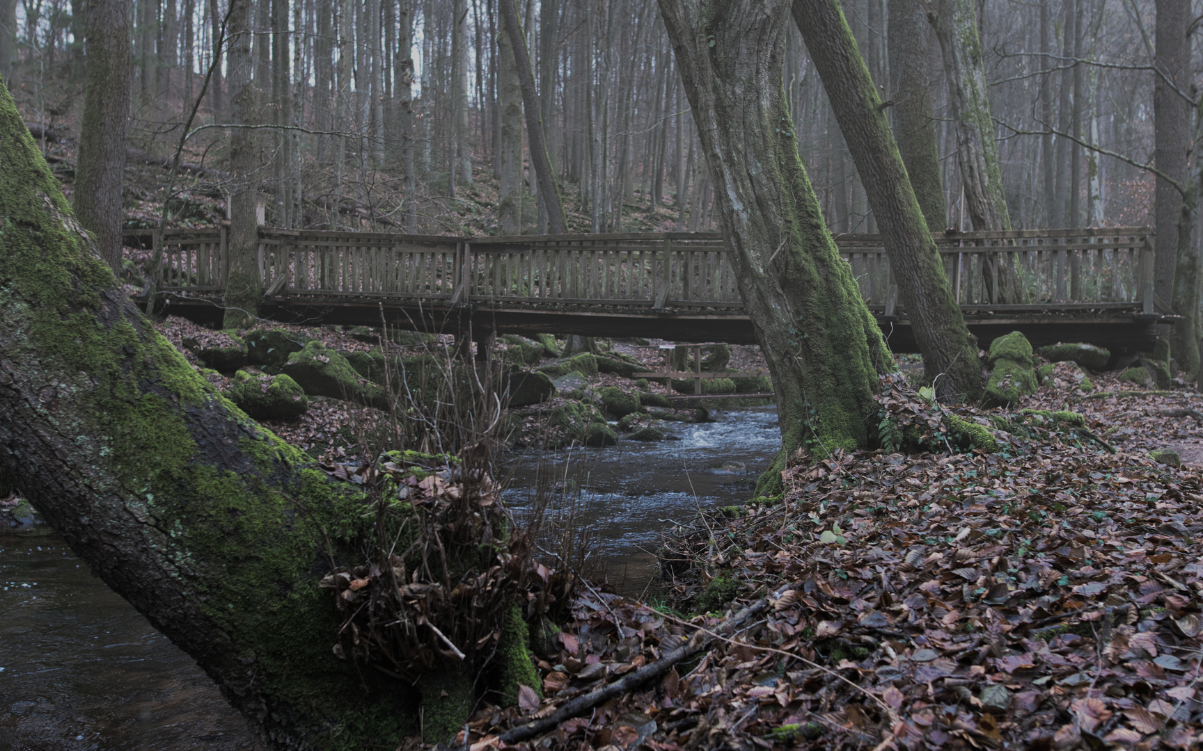 Brücke