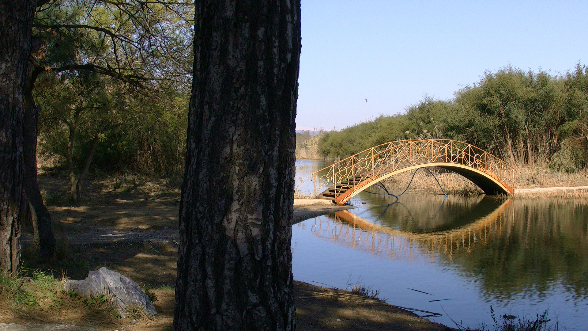 Brücke