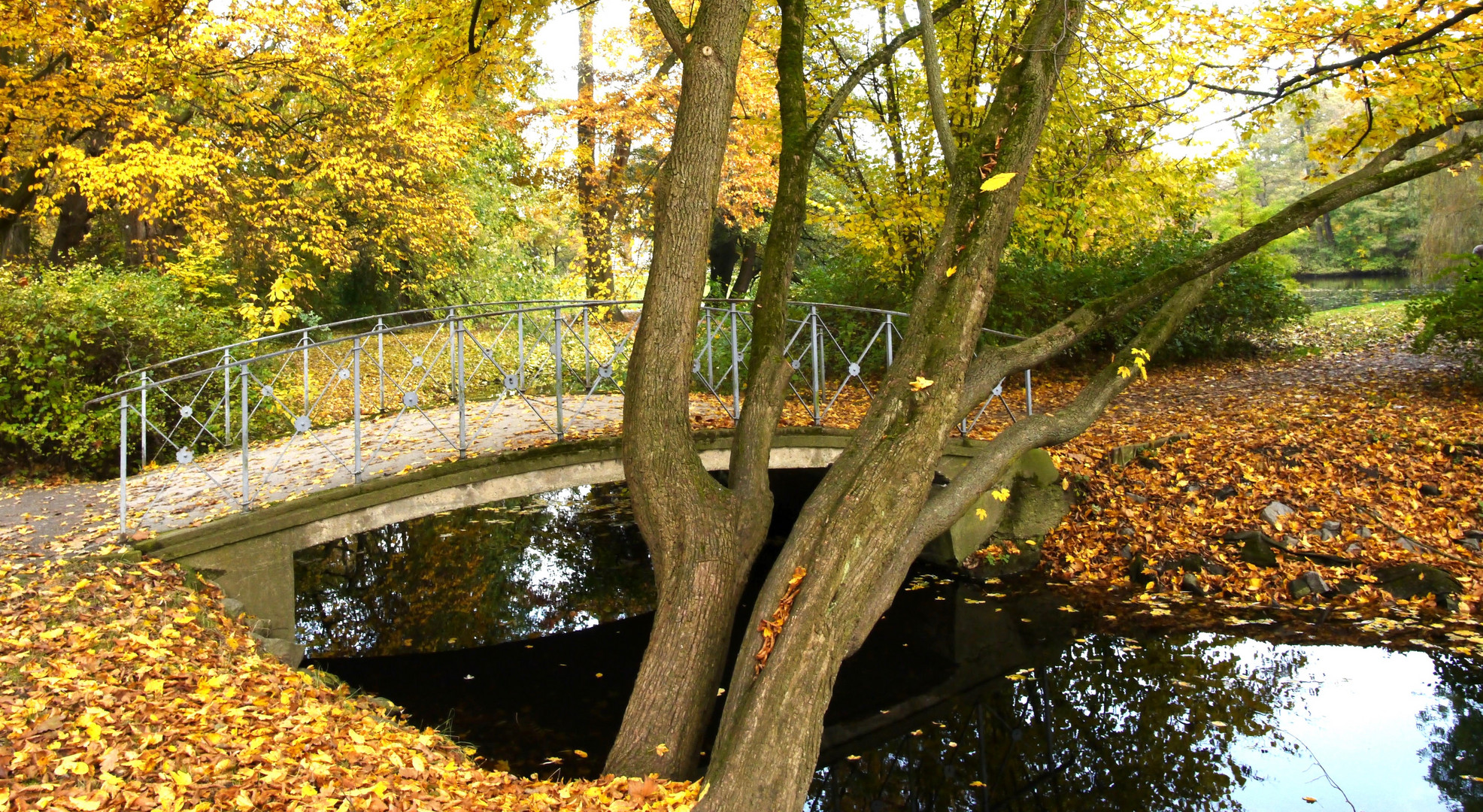 Brücke