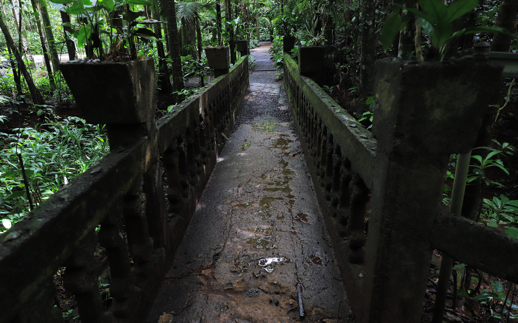 brücke