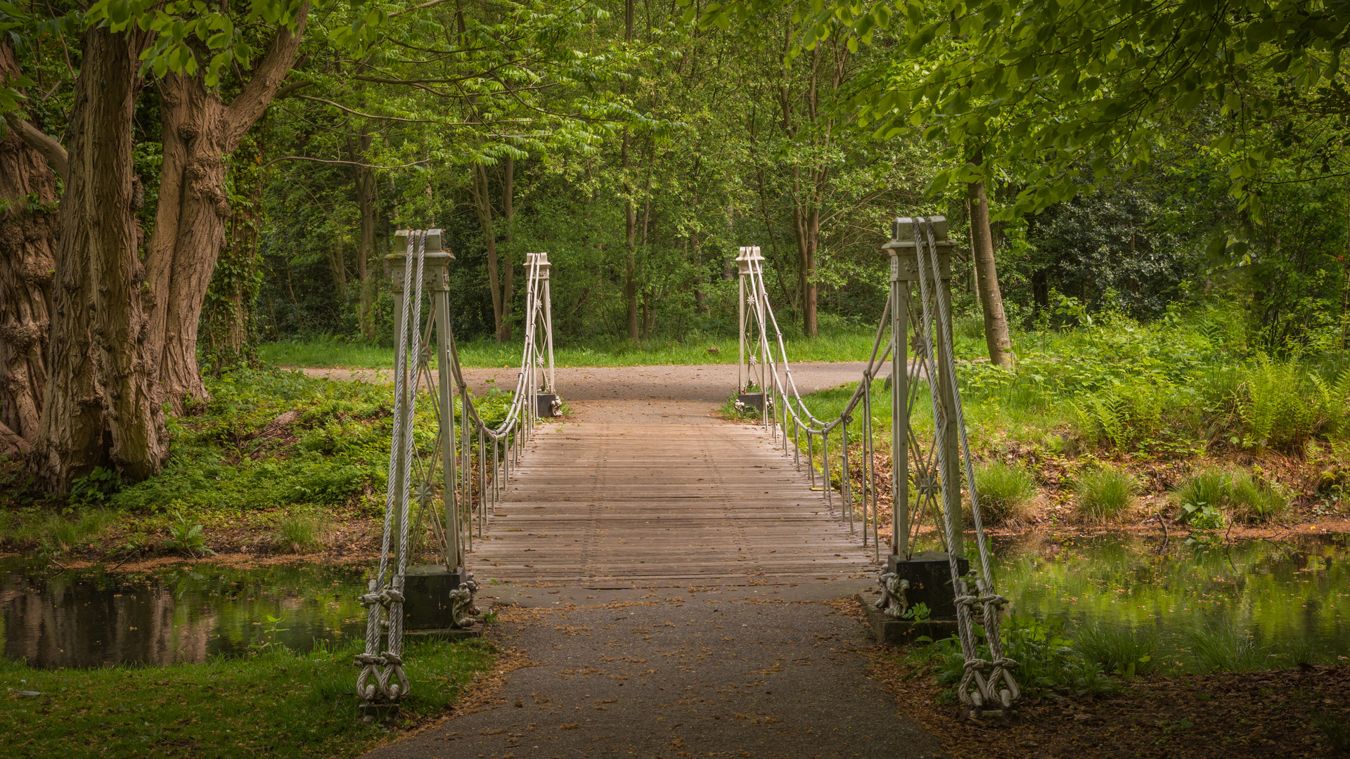  "Brücke"