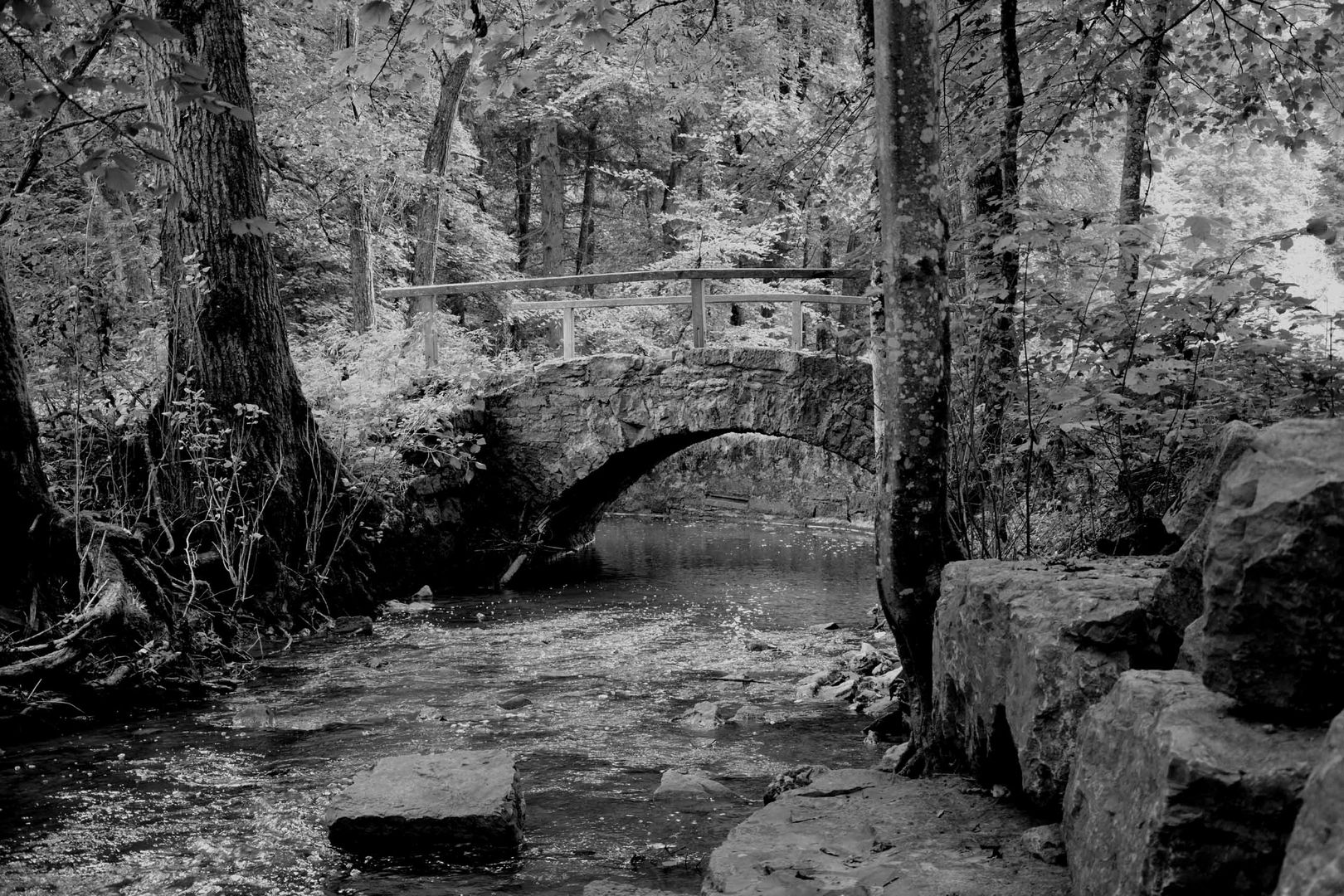 Brücke