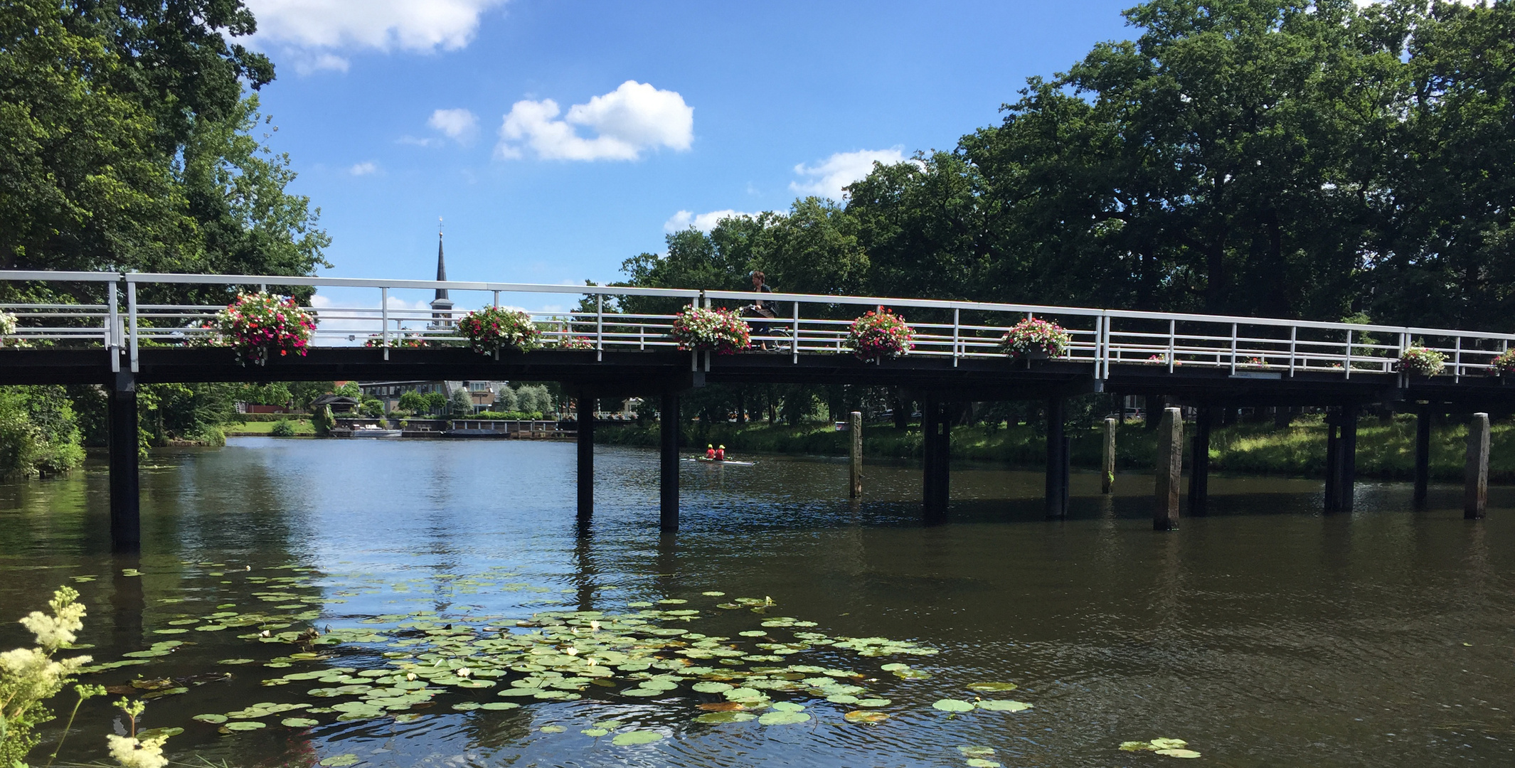 Brücke Foto & Bild | natur Bilder auf fotocommunity