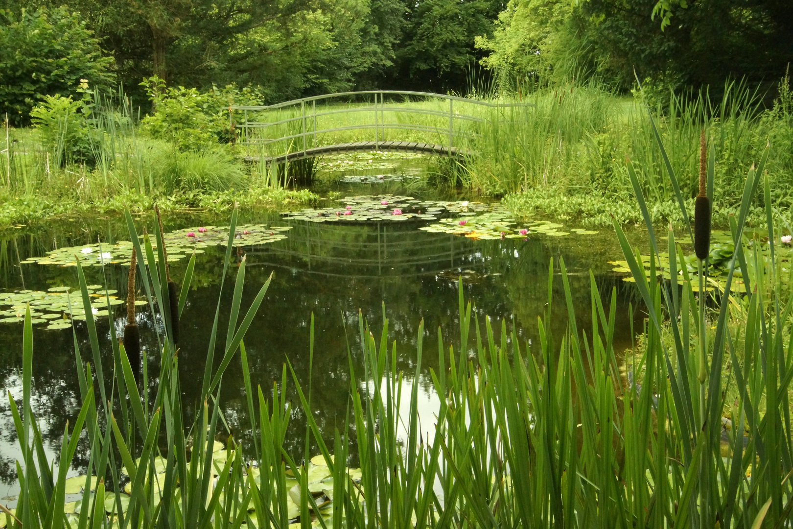 Brücke