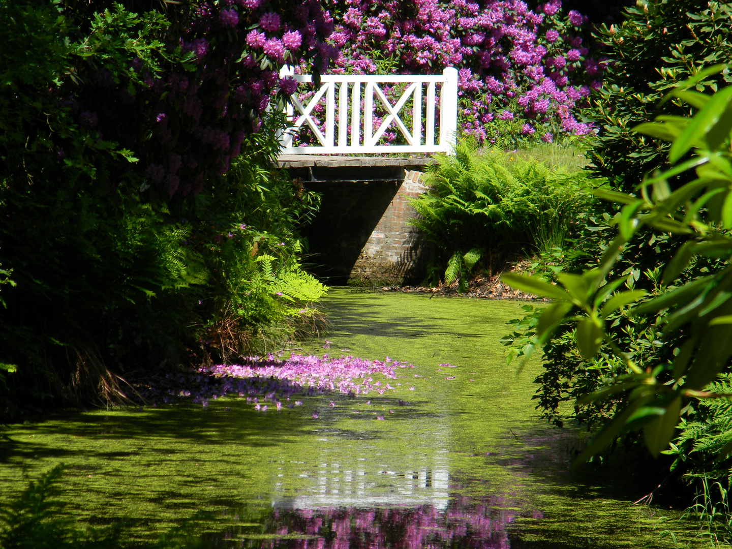 Brücke