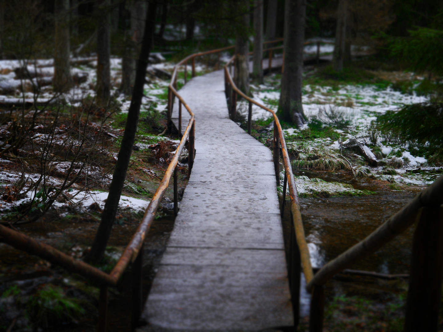 Brücke am Arbersee