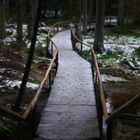 Brücke am Arbersee