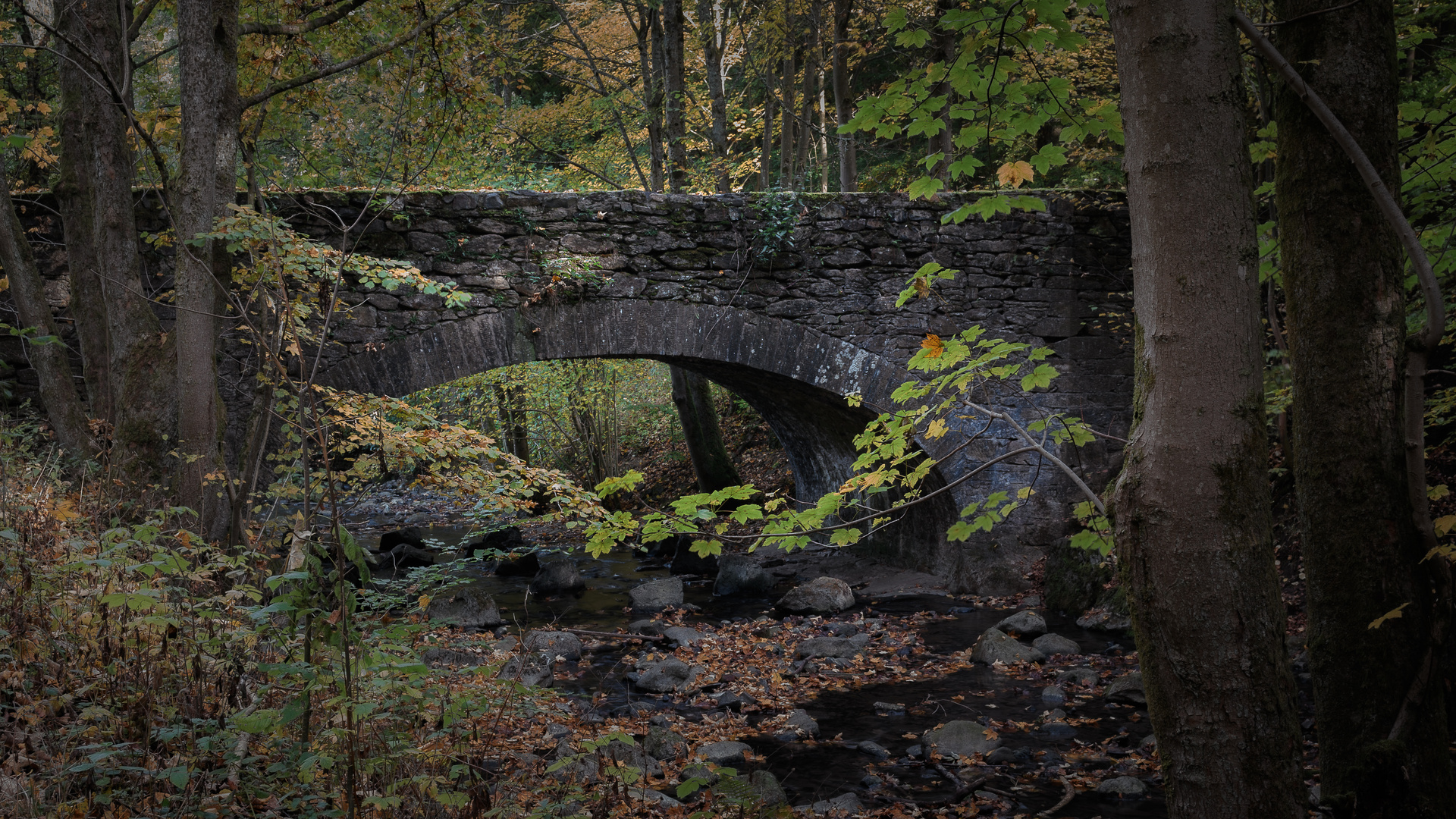 Brücke am Aubach