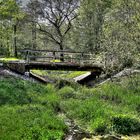 Brücke am Bach