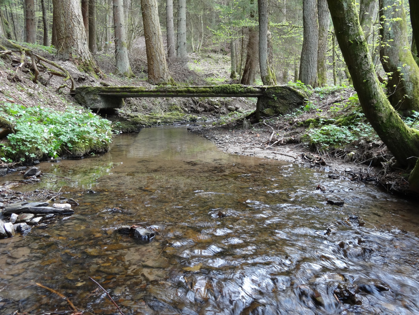 Brücke am Bach