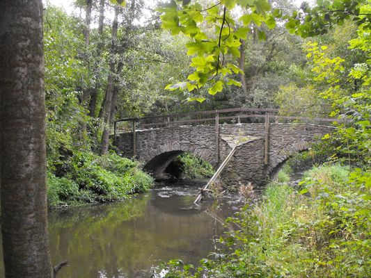 Brücke am Eisenhammer in Weida / Thüringen