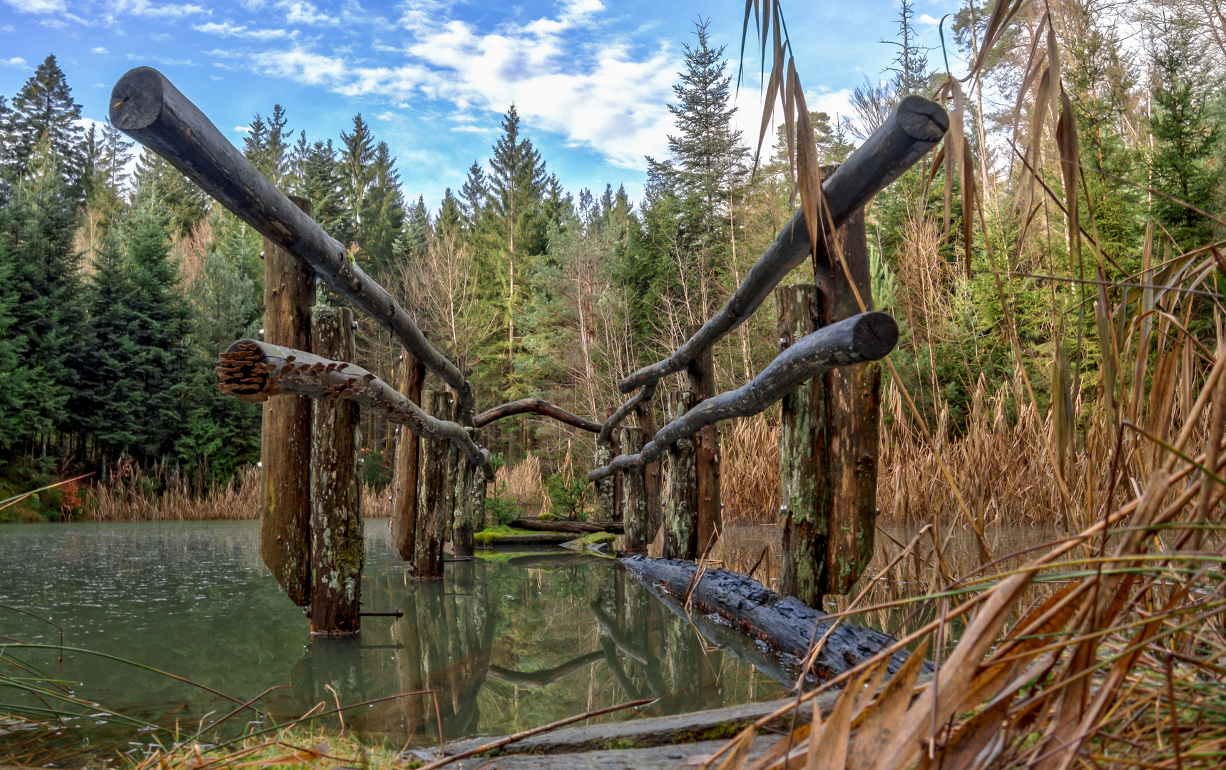 Brücke am Eisvogelsee