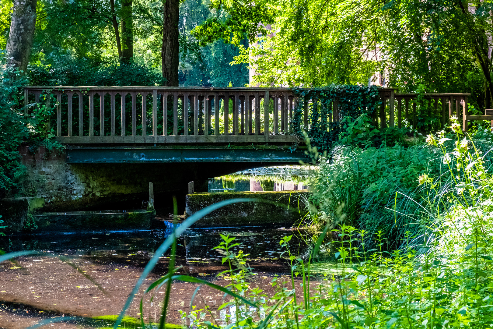 Brücke am Entenweiher