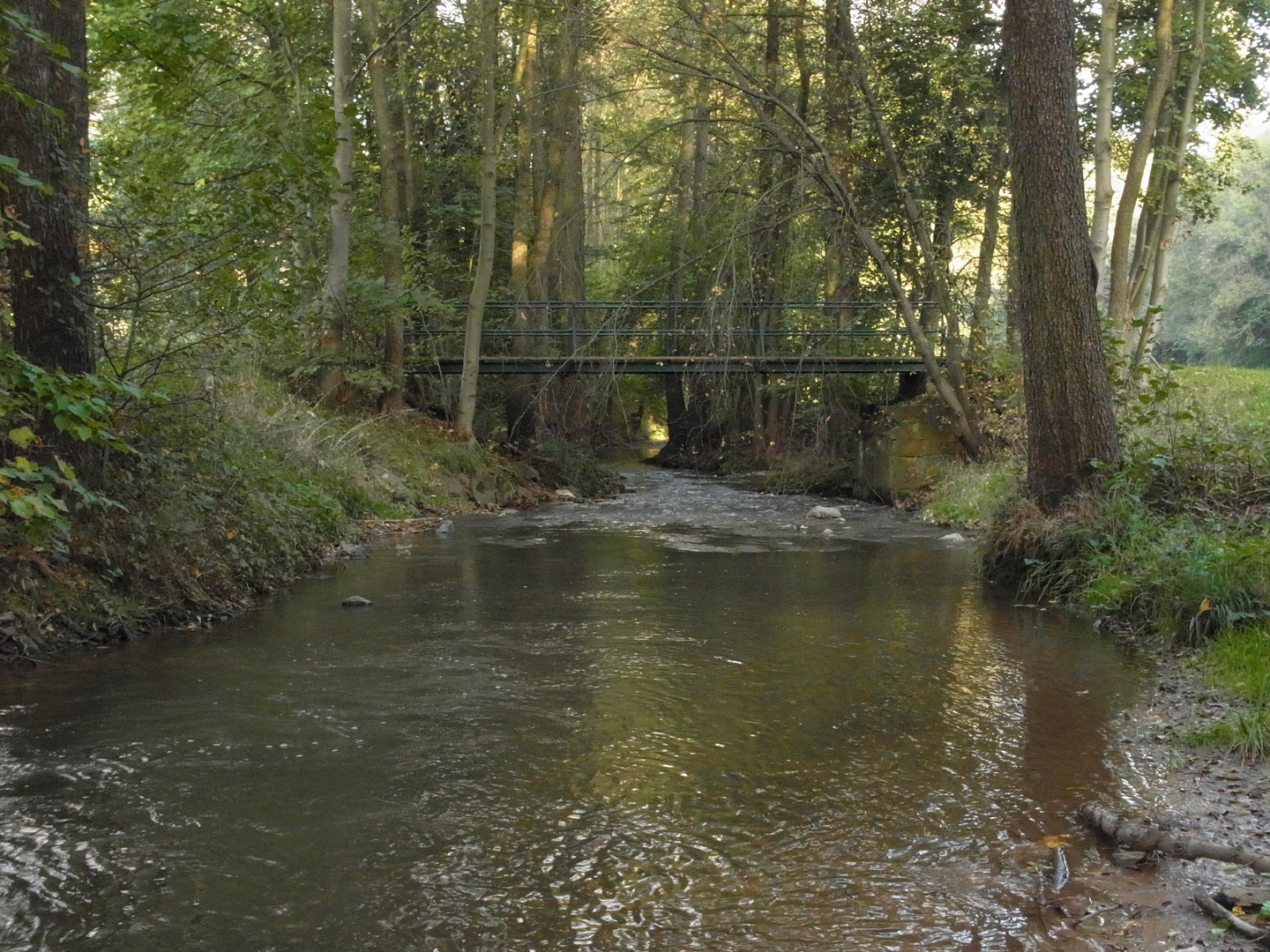 " Brücke am Fluß "