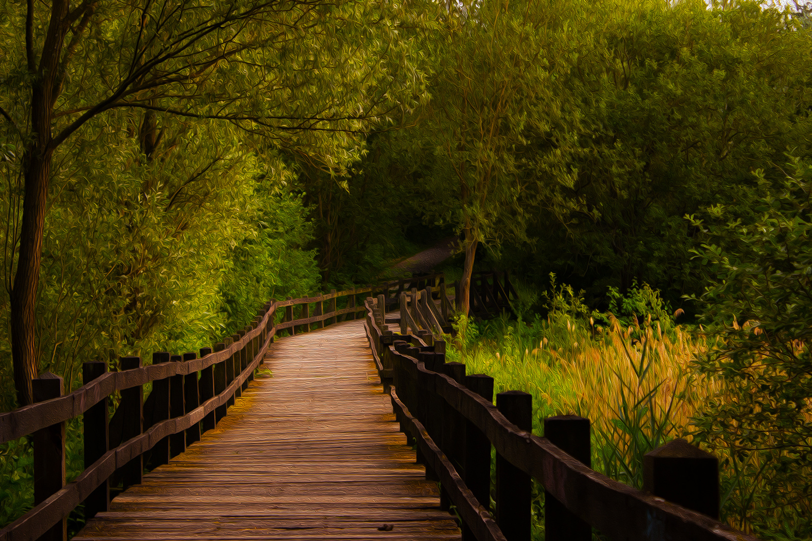 Brücke am grünen See