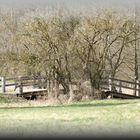 Brücke am Kochartgraben