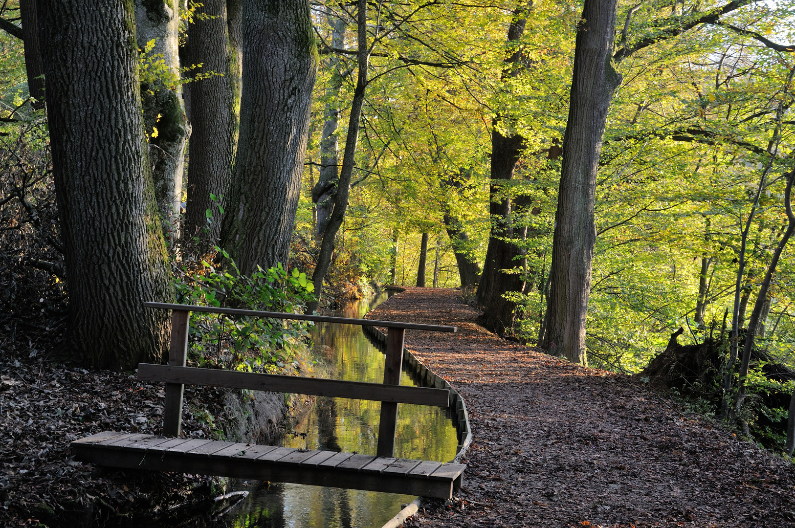 Brücke am Krummbach bei Ochsenhausen