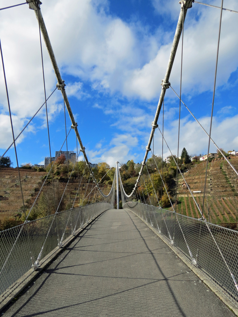 Brücke am Max-Eyth-See Stuttgart