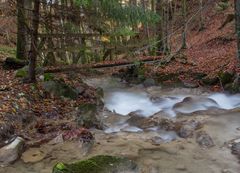 Brücke am Mülibach