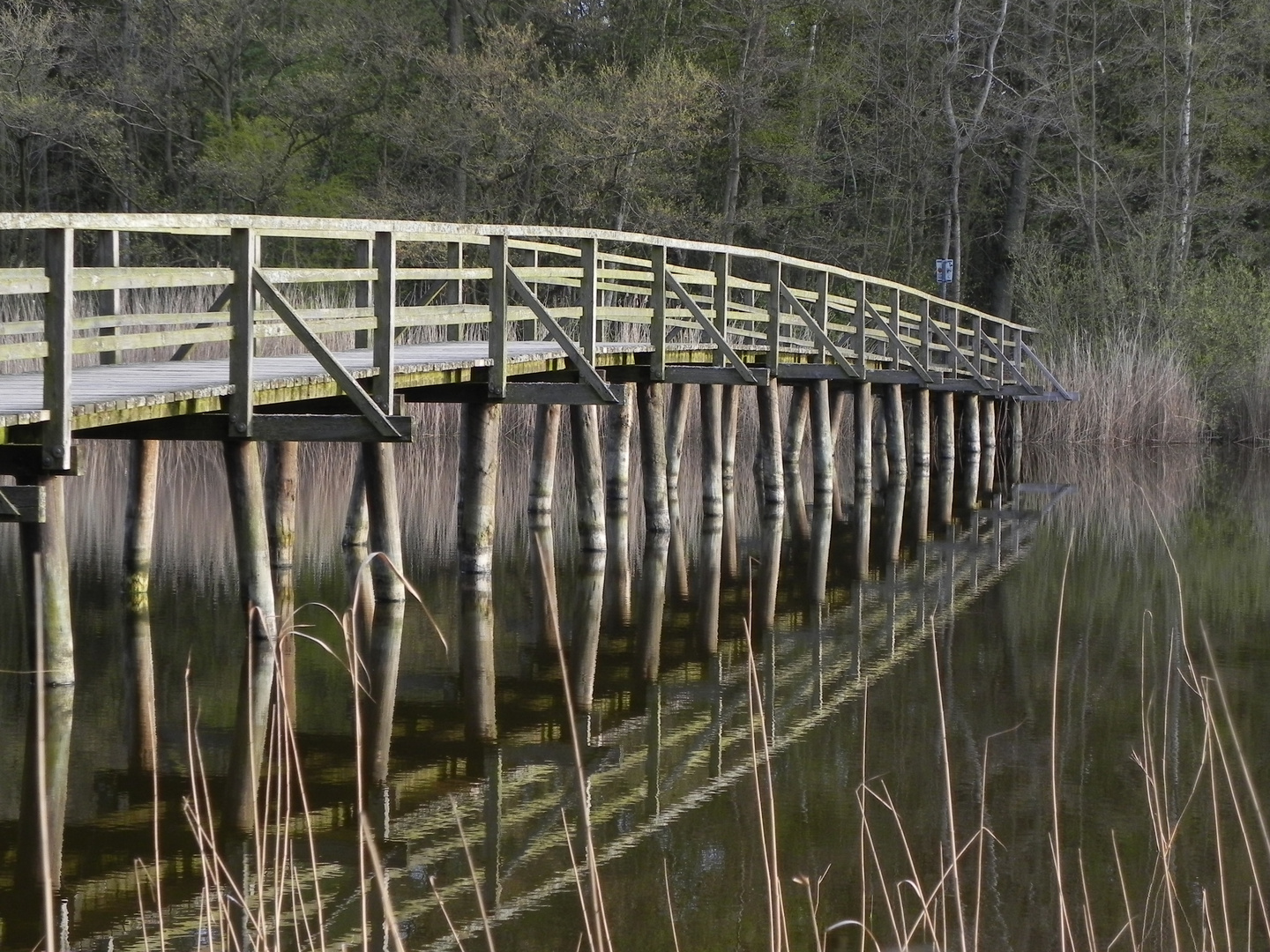 Brücke am Prerowstrom