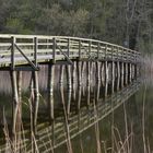 Brücke am Prerowstrom