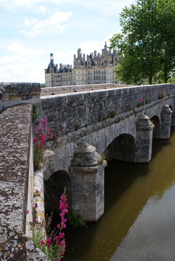 Brücke am Schloss