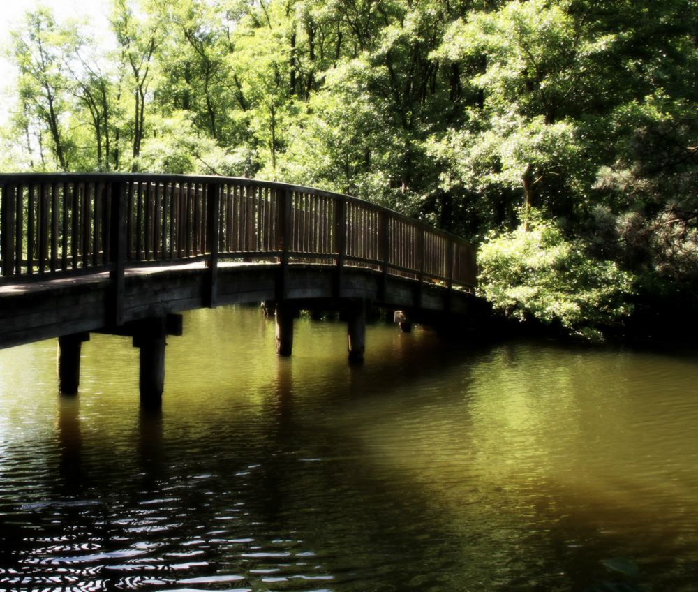 Brücke am Schmalsee